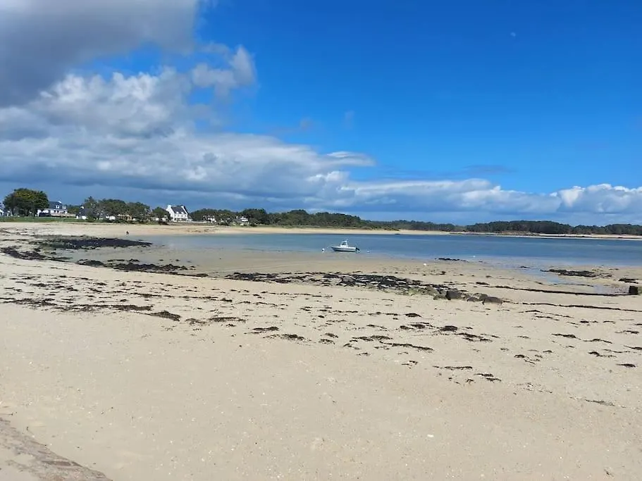 Charmant Appartement T2, Rdc A Carnac A 200M De La Plage Avec Jardin Et Terrasse Apartman